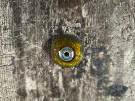 Auge 23