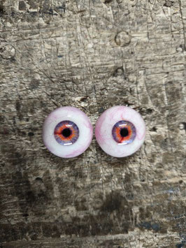 Auge 27
