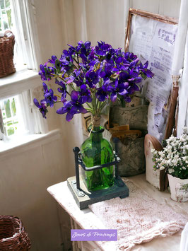 Botte de 18 tiges de violettes
