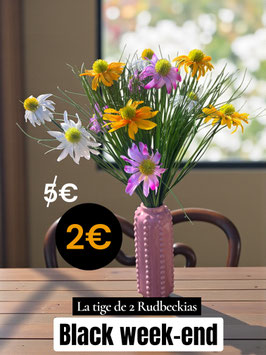 Rudbeckia la tige de 2 fleurs