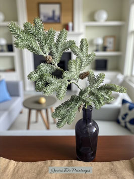 Branche de sapin givré