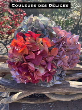 Composition Minorque