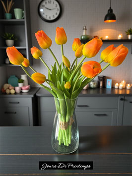 Botte de 5 tulipes orange