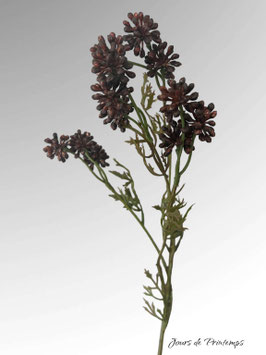 Branche de Sedum Album 42 cm