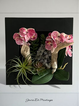 Cadre de l'île de Jersey