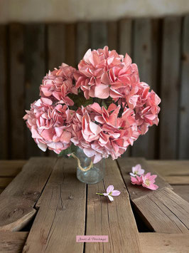 Botte de 5 Hortensia saumon vieilli