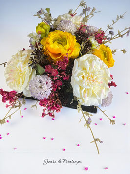 Le Carré de Daphnée