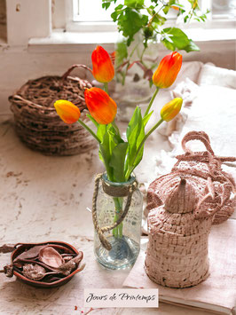 Botte de 5 tulipes orange