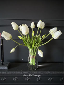 Botte de 5 Tulipes Blanches