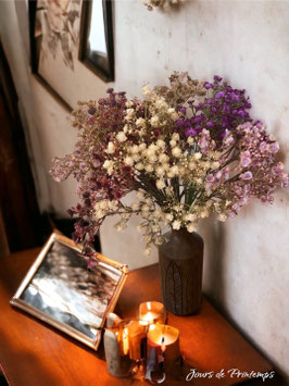 Gypsophille Automne / Hiver