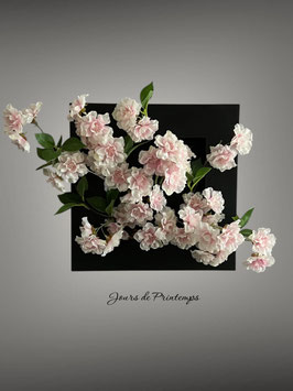 Cadre de Fleurs de Cerisier