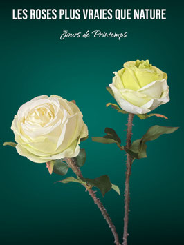 La Rose du Palais Ronsard