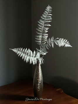 Branche de Fougère argentée