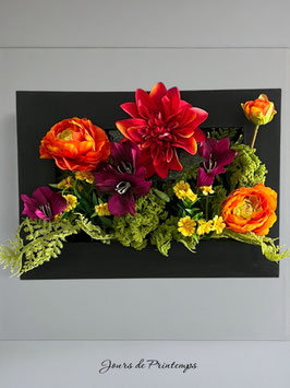 Le Cadre de Clara B.