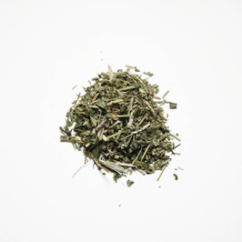 Gundelrebenkraut
