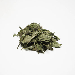 Pfefferminze, Blatt-Krüll