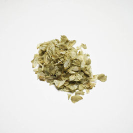 Hopfen