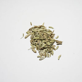 Fenchel, süß