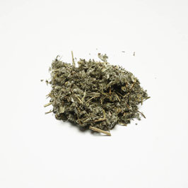 Gänsefingerkraut
