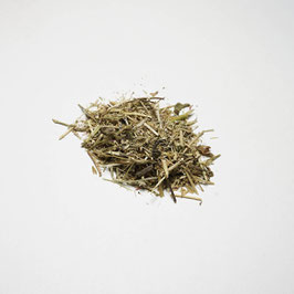 Tausendgüldenkraut