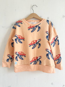 Pullover Sea Turtle