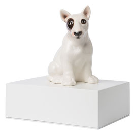 Miniatura Bull Terrier - cod.CP08