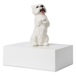 Miniatura West Terrier - cod.CP05