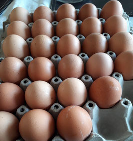 HUEVOS YEMITA COLOR GRANDE