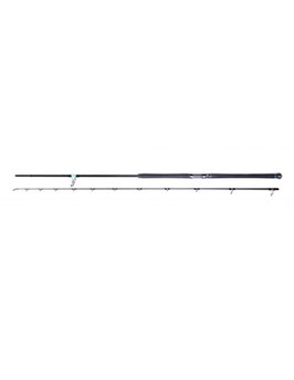 CANNA FAVORITE SHORE JIGGING  SSJX1 1002MH - 30-110 GRAMMI