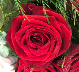 Bouquet lié de 5 roses rouges Poésie en livraison agglo