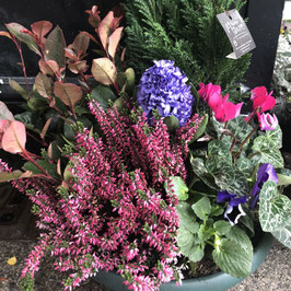 Composition de plantes livrée au cimetière de Rodez ou Grand Rodez