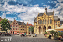 Wandbild: Fischmarkt Erfurt