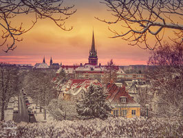 Wandbild: Gepudert - Erfurt im Winter