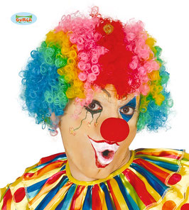 Parrucca clown multicolor