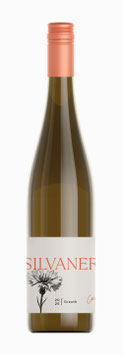Silvaner Greuth 2024