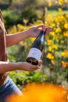 Chardonnay Greuth 2024