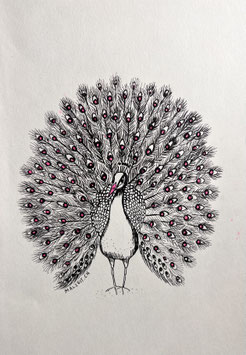 Pfau