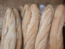 PA. BARRA PAN