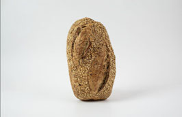 RP. HOGAZA SEMILLAS (500 GR) "HOMO PANIS"