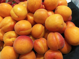 FJ. ALBARICOQUE