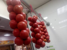 FC. TOMATE COLGAR ATADO