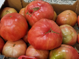 FC. TOMATE ROSA ZAMORA