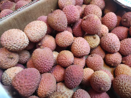 FM. LITCHI