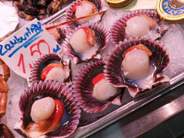 PI. ZAMBURIÑAS