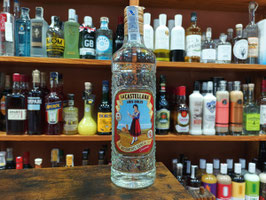EP. ANÍS DULCE LA CASTELLANA (700 ML) "BEAM SUNTORY SPAIN"