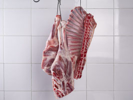 CA. CHULETAS CABRITILLO CANAL