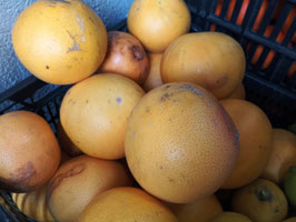 AP. POMELOS
