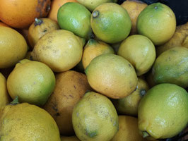 AP. LIMONES