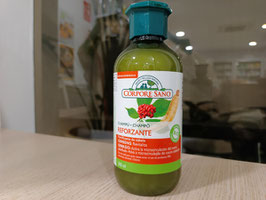 DN. CHAMPÚ REFORZANTE GINSENG Y GINKGO (300 ML) "CORPORE SANO"