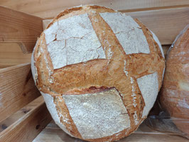 RP. HOGAZA GRANDE (500 GR)